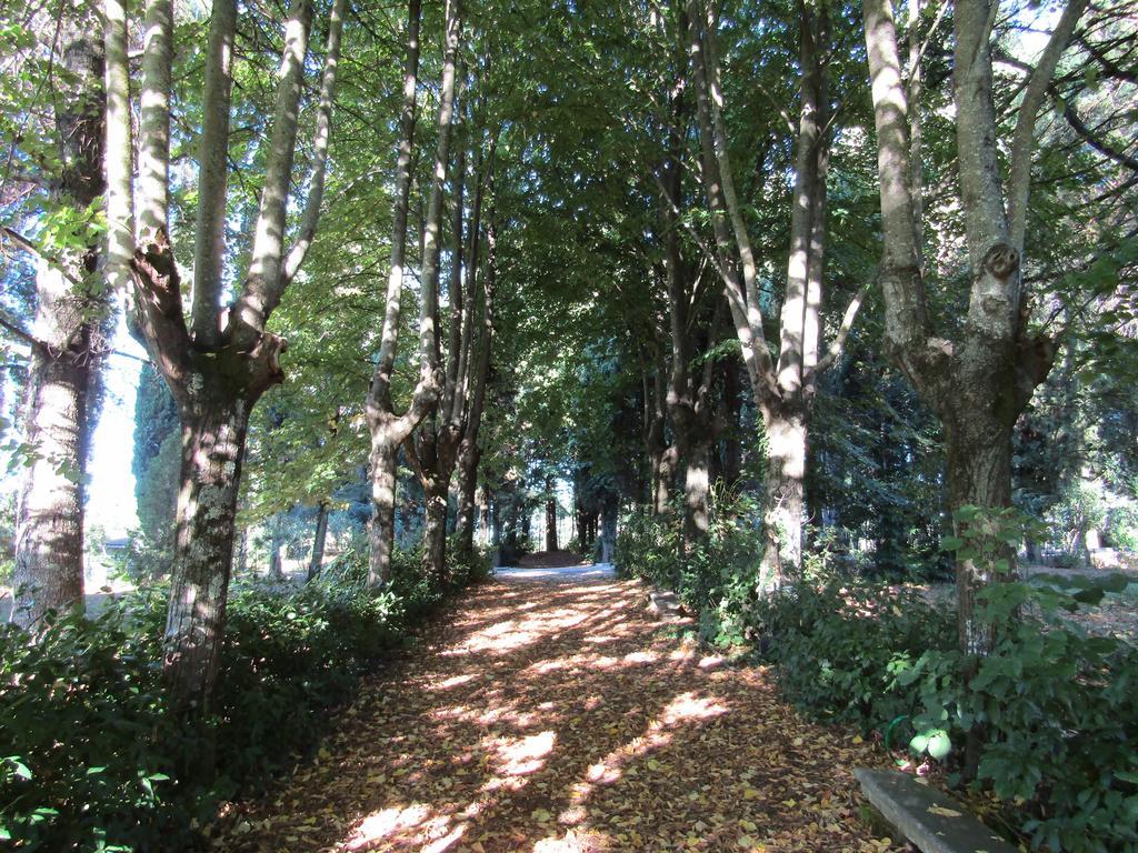 Monastero San Vincenzo - Casa Per Ferie Hotel Bassano Romano Luaran gambar