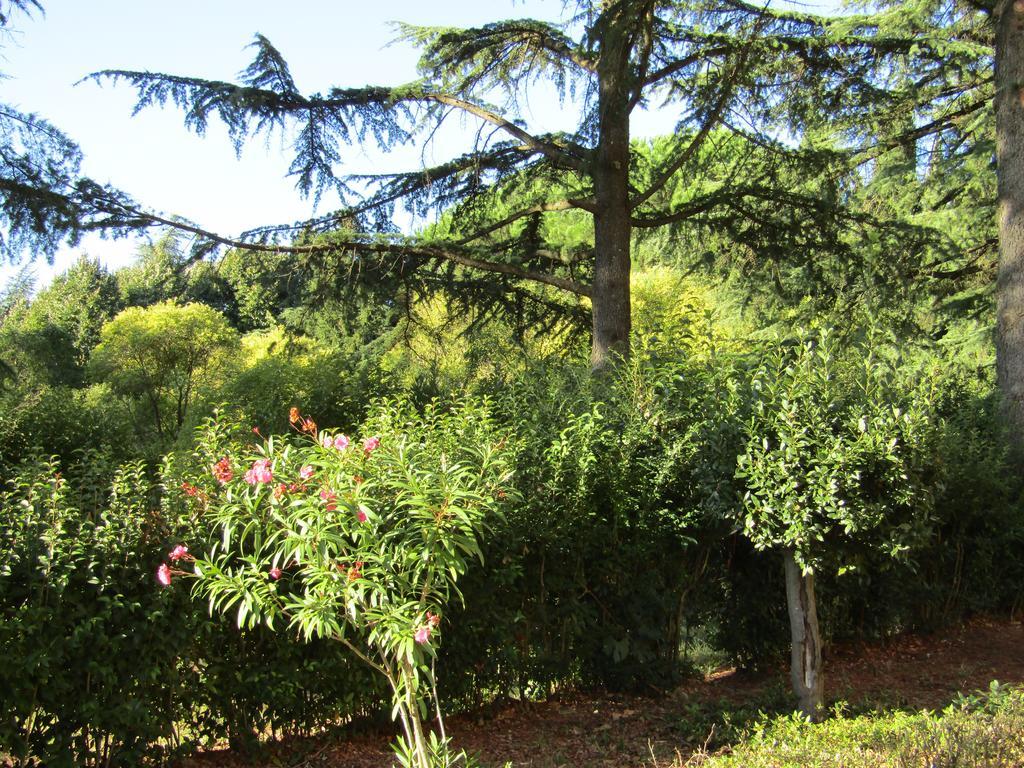 Monastero San Vincenzo - Casa Per Ferie Hotel Bassano Romano Luaran gambar